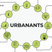 UrbanAnts: An R Shiny app for exploring ...